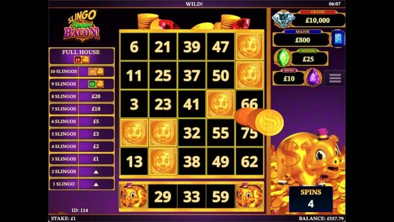 Slingo Rakin’ Bacon Casino Game